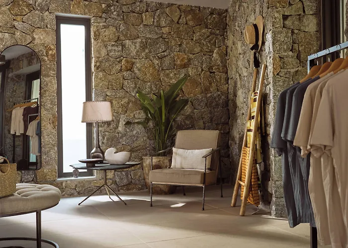 Anemelia Mykonos Elia (Mykonos)