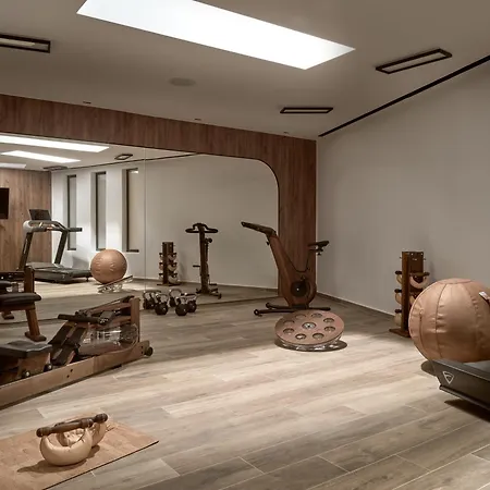 Anemelia Mykonos 酒店 Elia (Mykonos)