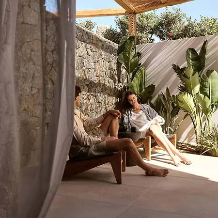 酒店 Anemelia Mykonos Elia (Mykonos)