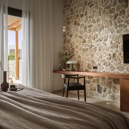 酒店 Anemelia Mykonos Elia (Mykonos)