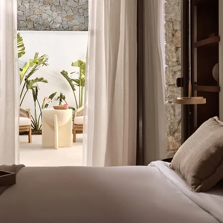 酒店 Anemelia Mykonos 5*