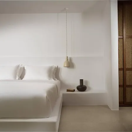 酒店 Anemelia Mykonos Elia (Mykonos)