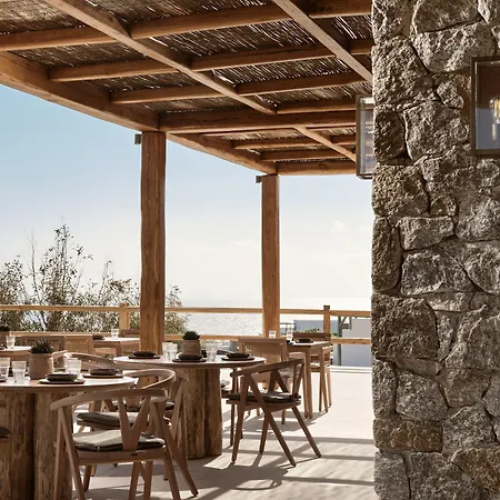 Anemelia Mykonos 酒店 5*
