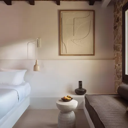 Hotel Anemelia Mykonos Elia (Mykonos)