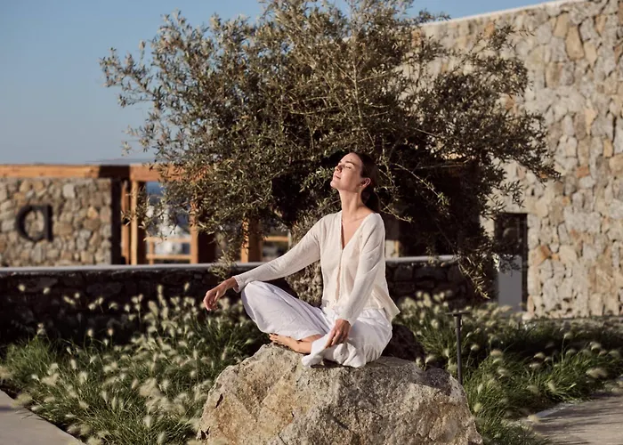 Anemelia Mykonos Hotel 5*