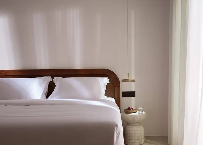 Hotel Anemelia Mykonos 5*