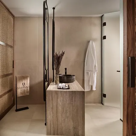 Anemelia Mykonos Hotel 5*