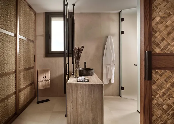 Anemelia Mykonos فندق