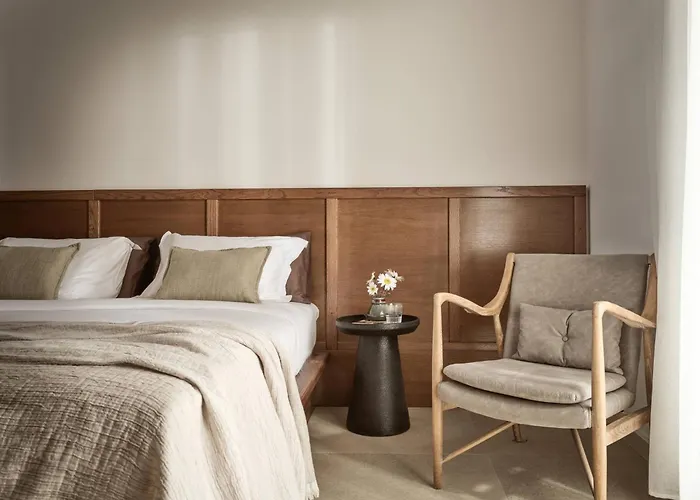 Anemelia Mykonos 5* Elia (Mykonos)