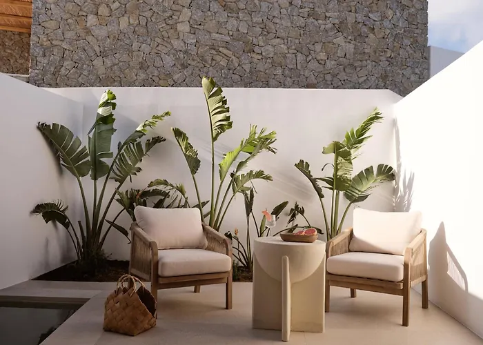 فندق Anemelia Mykonos 5*