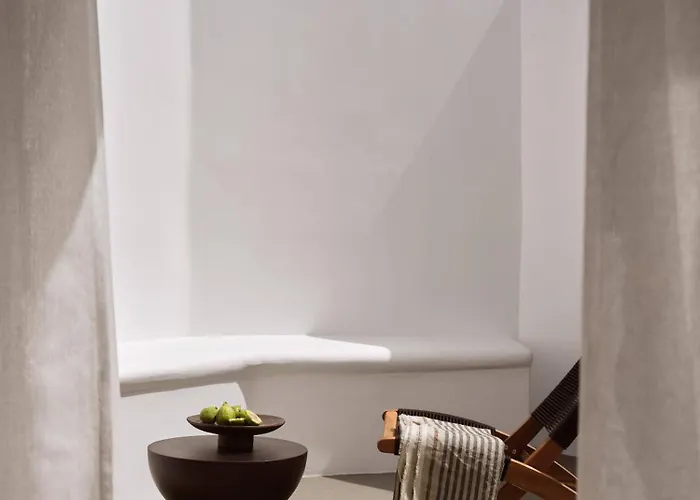 Anemelia Mykonos فندق 5*