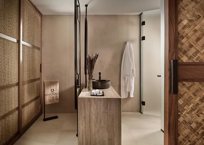 Anemelia Mykonos فندق 5*