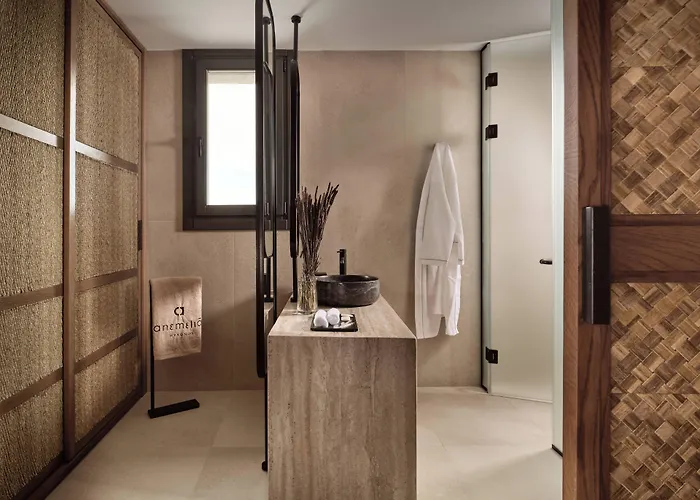 فندق Anemelia Mykonos